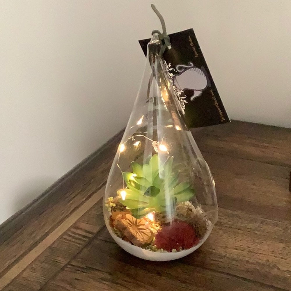 Terrarium LED Lights Faux Succulent New
